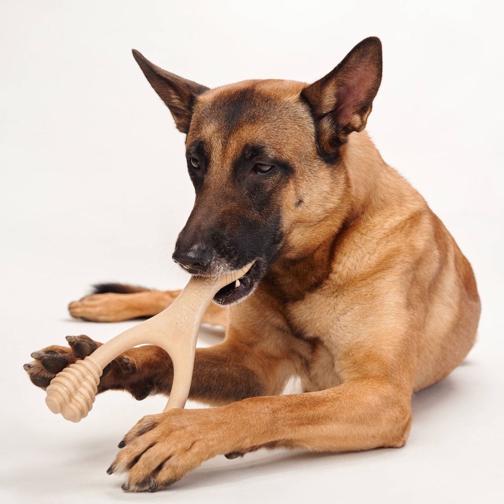 BetterBone MEDIUM Durability CHEW TOY: Perfect Chew for Everyday Chewers - Natural Ingredients, Eco-Friendly, Non-Toxic