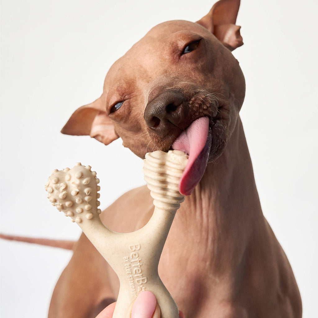 BetterBone MEDIUM Durability CHEW TOY: Perfect Chew for Everyday Chewers - Natural Ingredients, Eco-Friendly, Non-Toxic