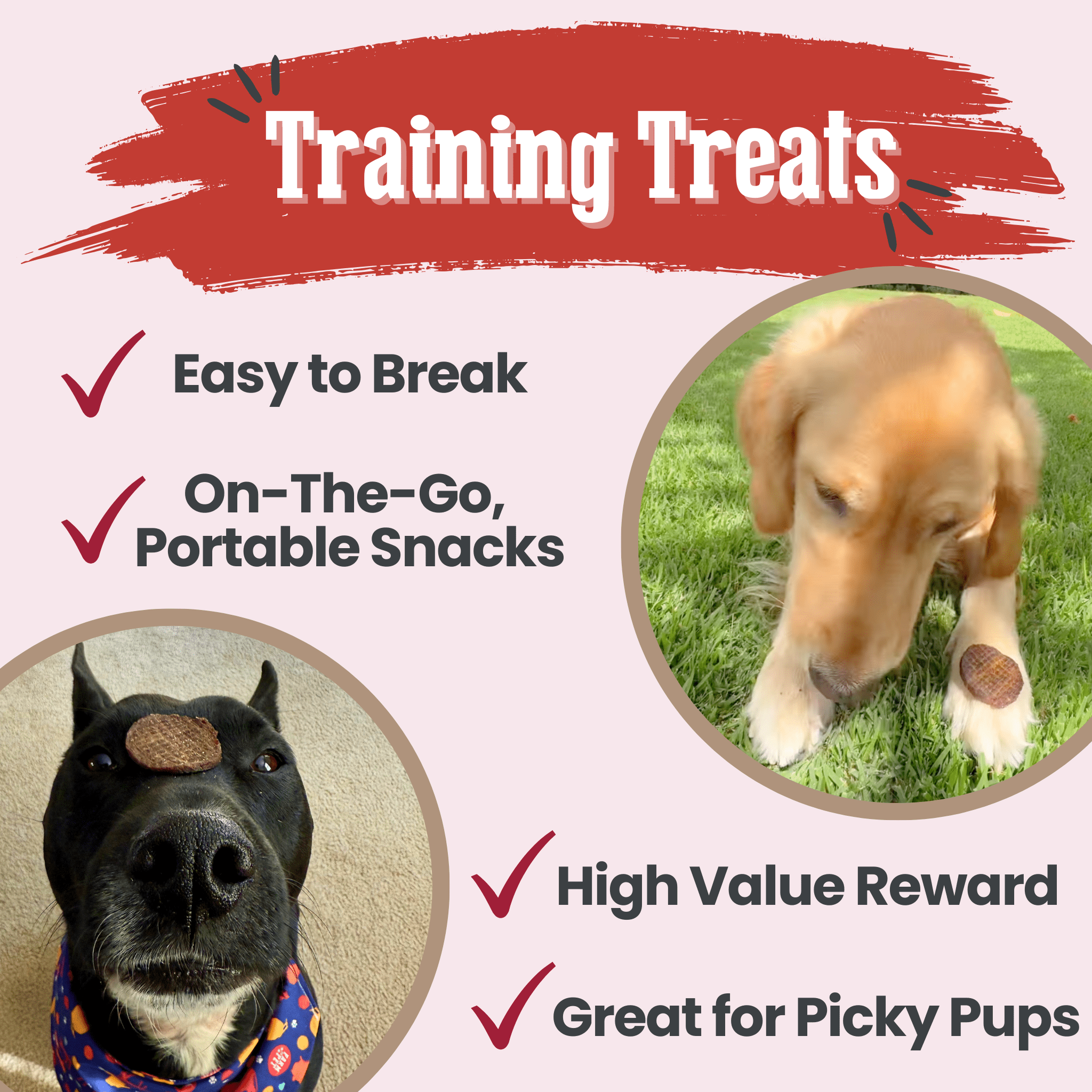 Beef Chips Dog Treats - Single-Ingredient Healthy Treats for Dogs