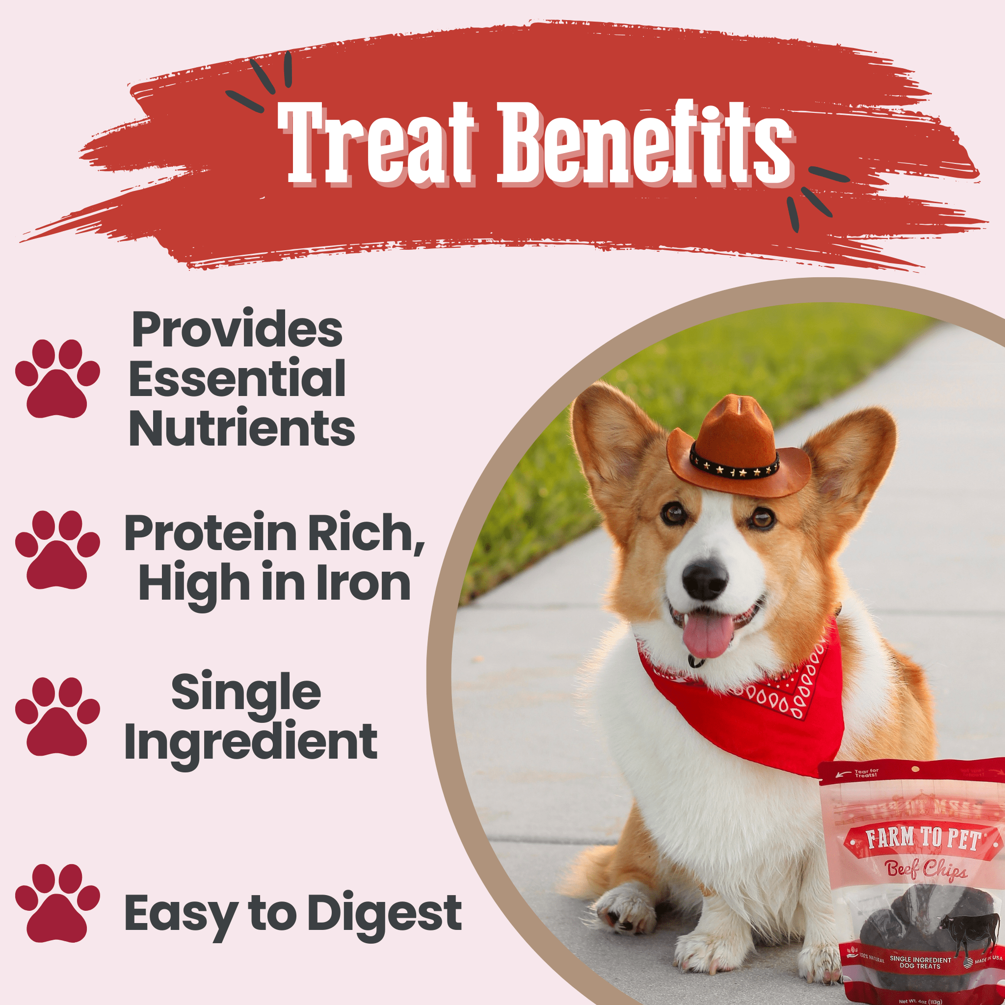 Beef Chips Dog Treats - Single-Ingredient Healthy Treats for Dogs