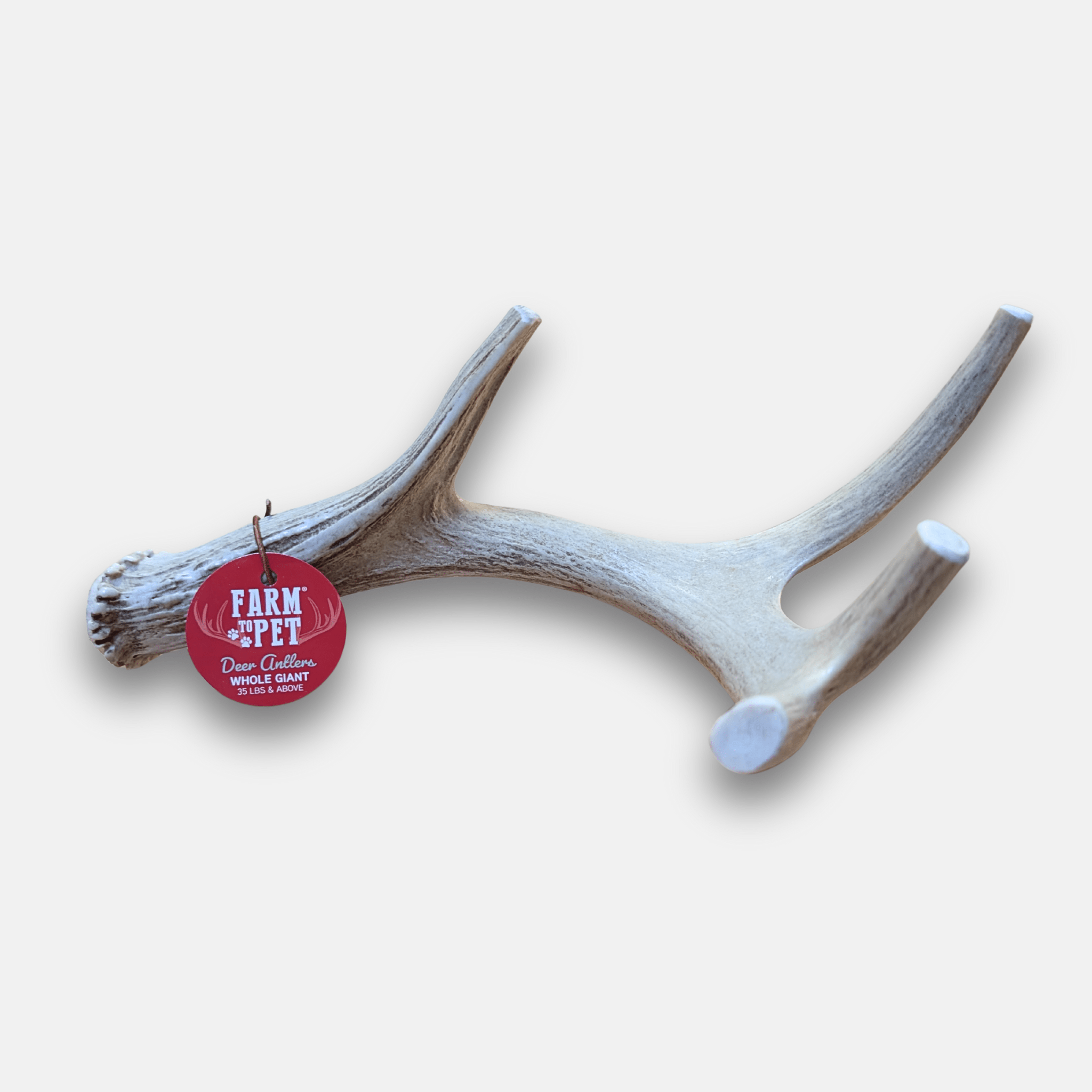 Deer Antler Dog Chews - Organic Chews for Dogs