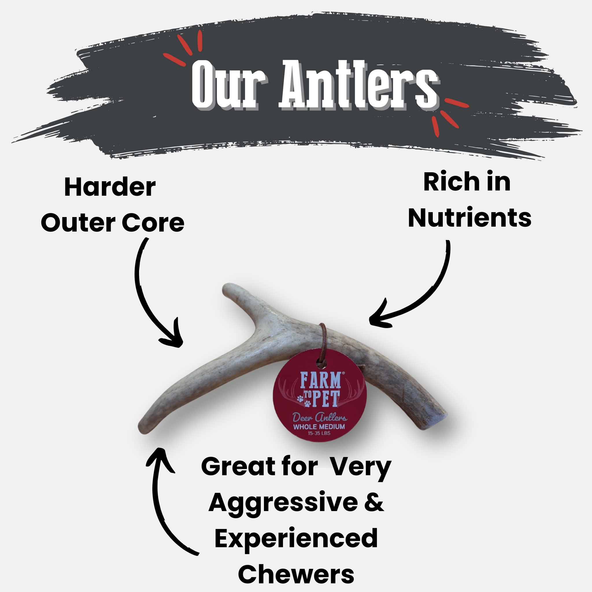 Deer Antler Dog Chews - Organic Chews for Dogs