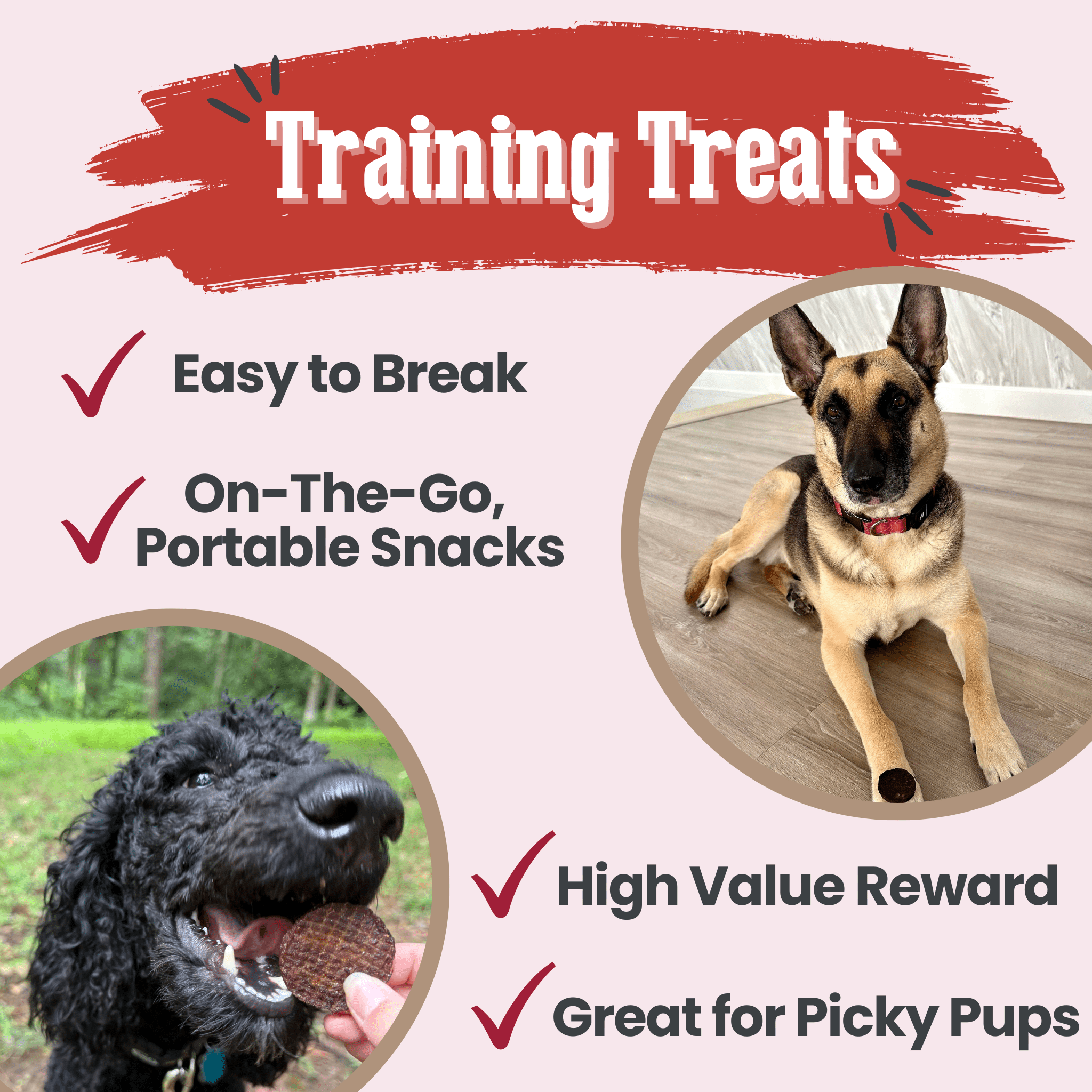 Beef Chips Dog Treats - Single-Ingredient Healthy Treats for Dogs