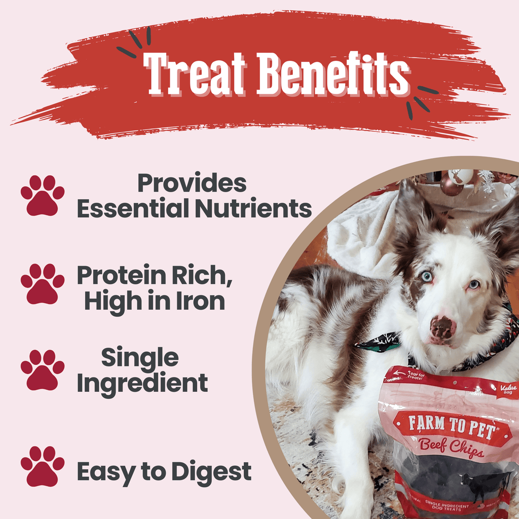 Beef Chips Dog Treats - Single-Ingredient Healthy Treats for Dogs