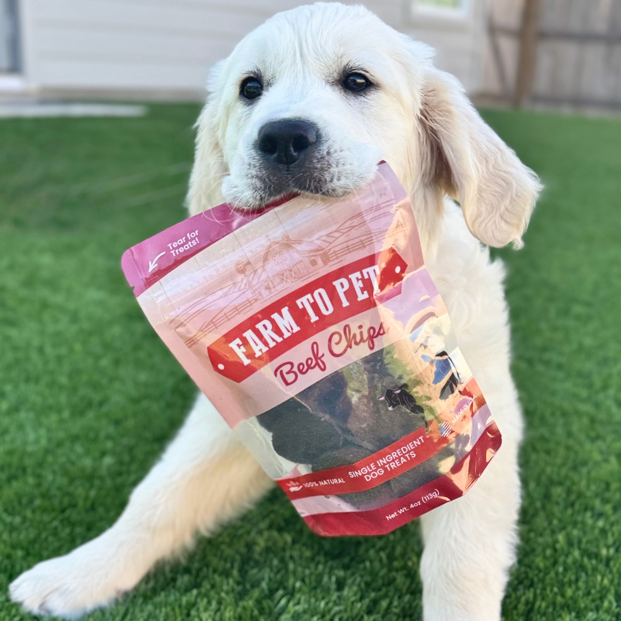 Beef Chips Dog Treats - Single-Ingredient Healthy Treats for Dogs