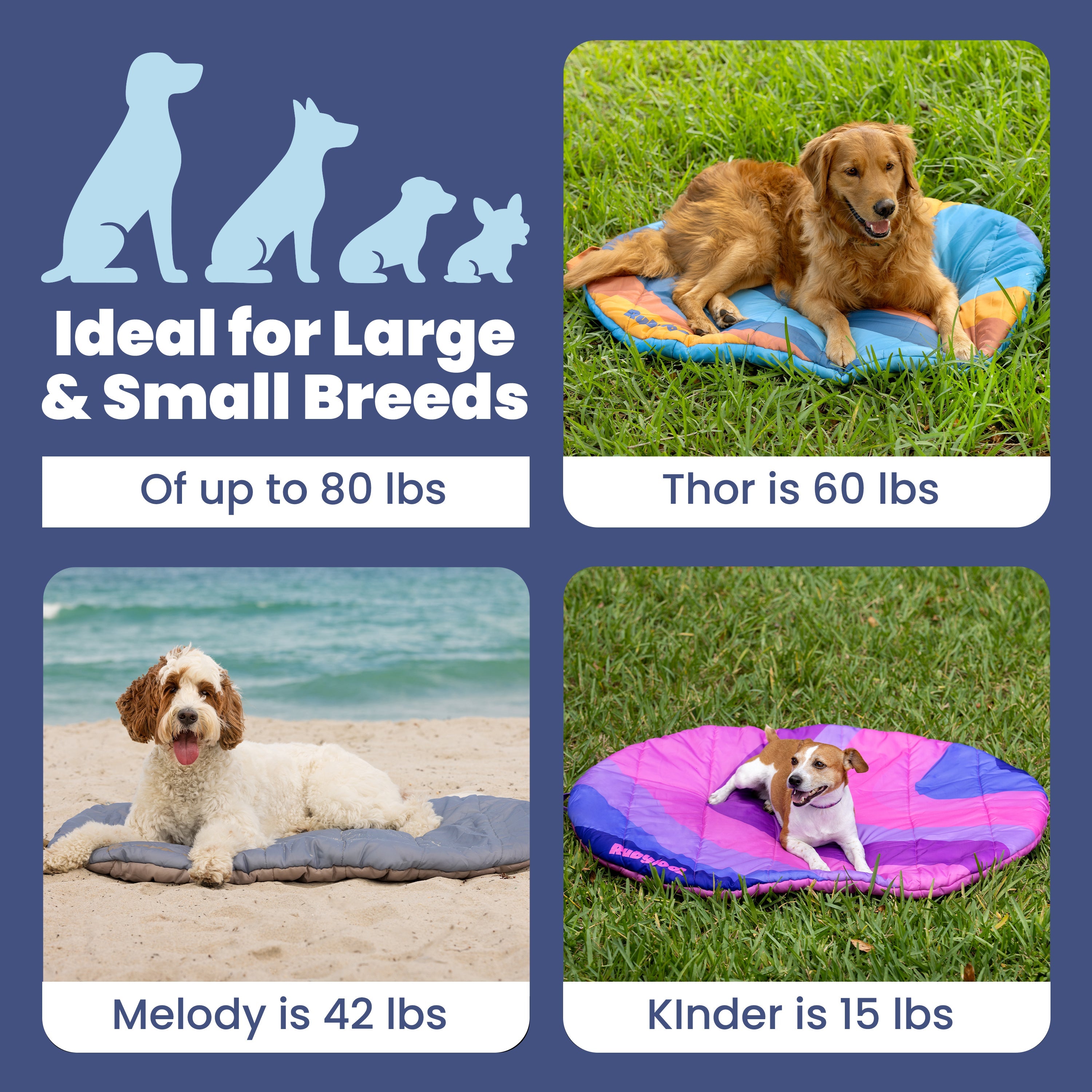 Travel Dog Bed - Foldable & Packable