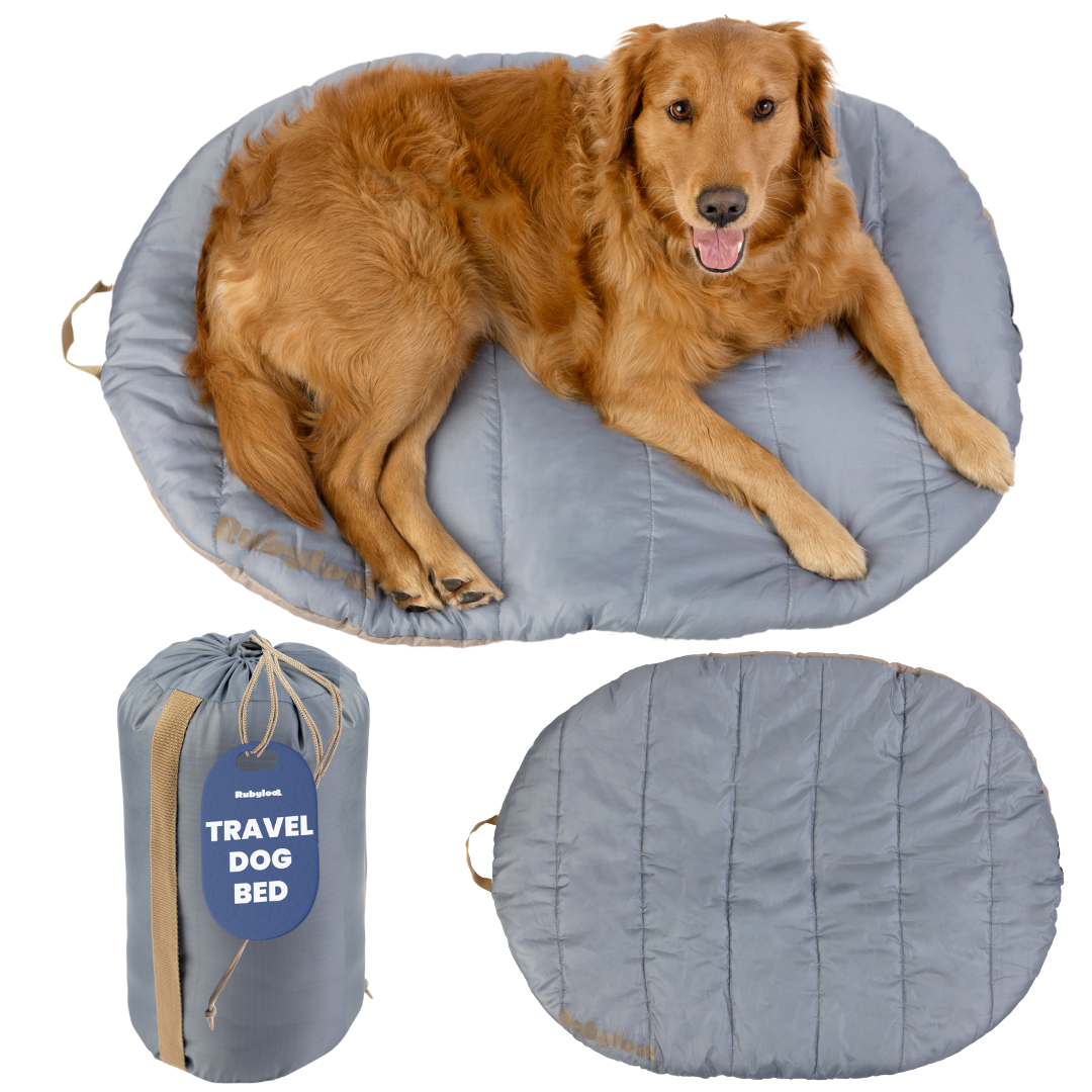 Travel Dog Bed - Foldable & Packable