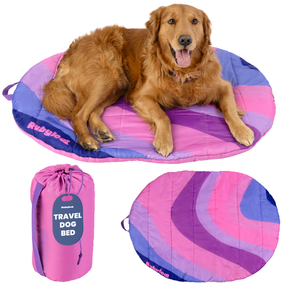 Travel Dog Bed - Foldable & Packable