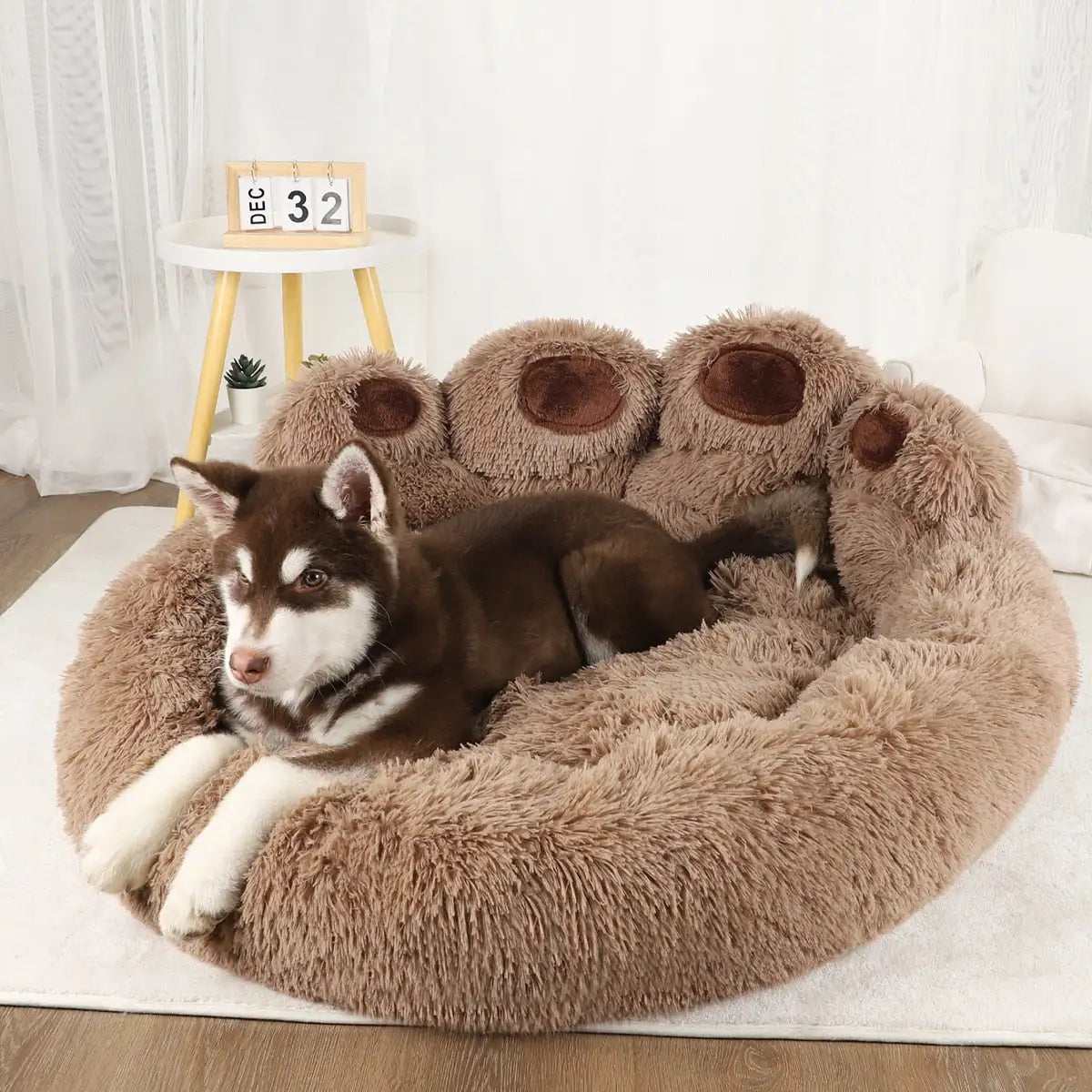 Cozy & Premium Pet Dog Sofa Beds