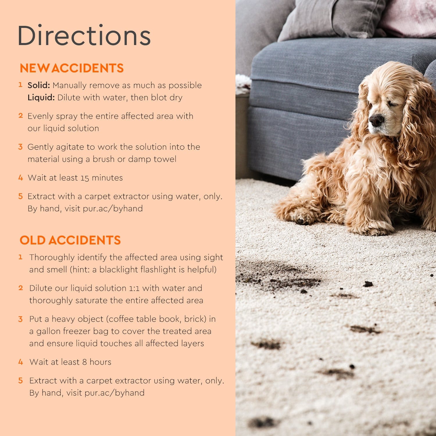 Puracy Pet Stain & Odor Remover